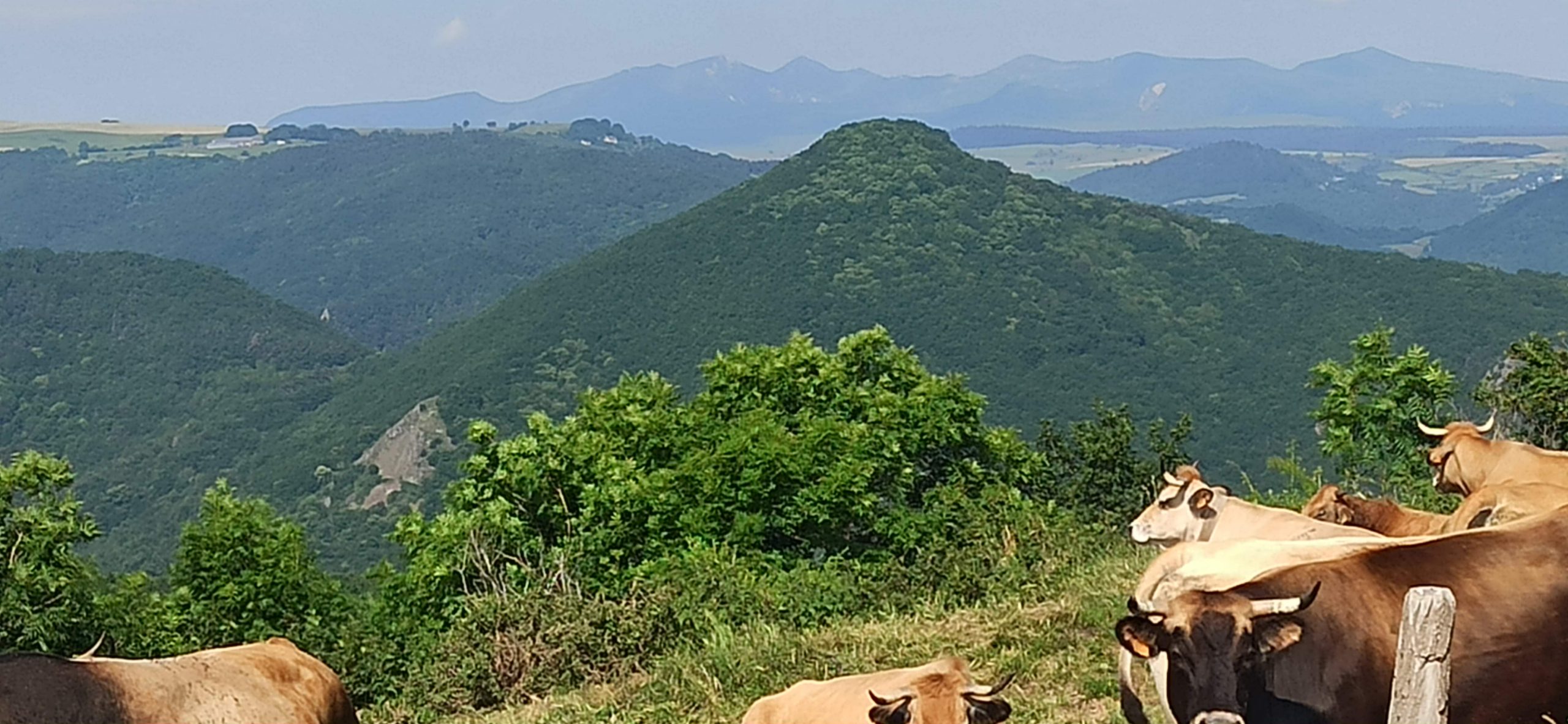 Etape 3 : Lempdes-sur-Avallon (63) -> Mont-Dore (63)