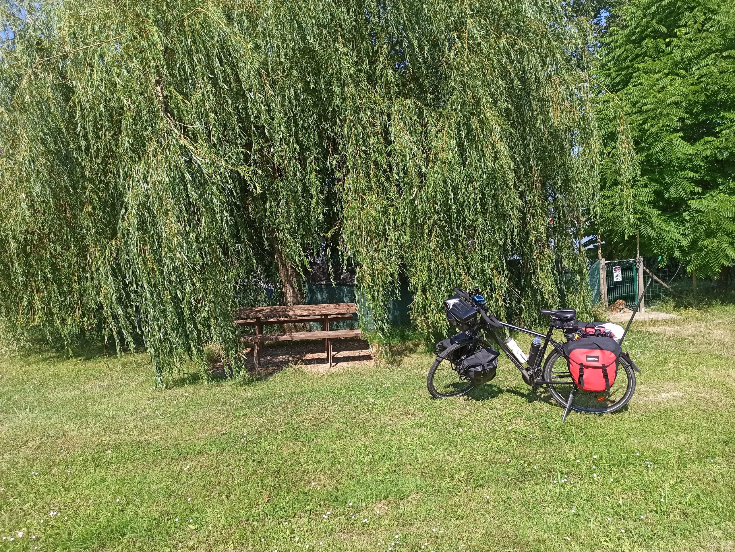 Étape 4: de Damazan à Créon